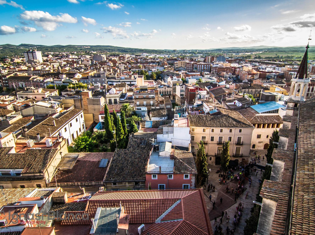 The Penedes from its highest bell tower: Basilica of Santa Maria景点图片