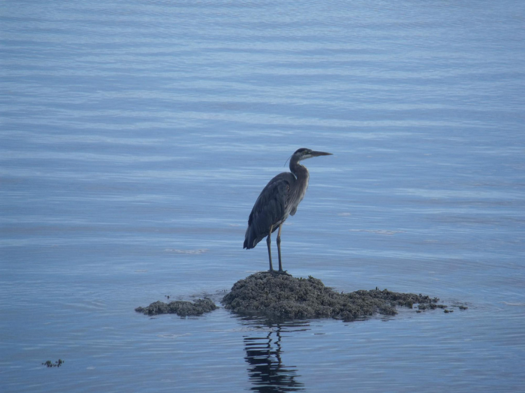 Waldport Kayak Shack Rentals-Waldport必去景点