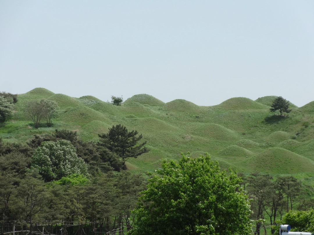 Bullodong Ancient Tomb Park-大邱必去景点