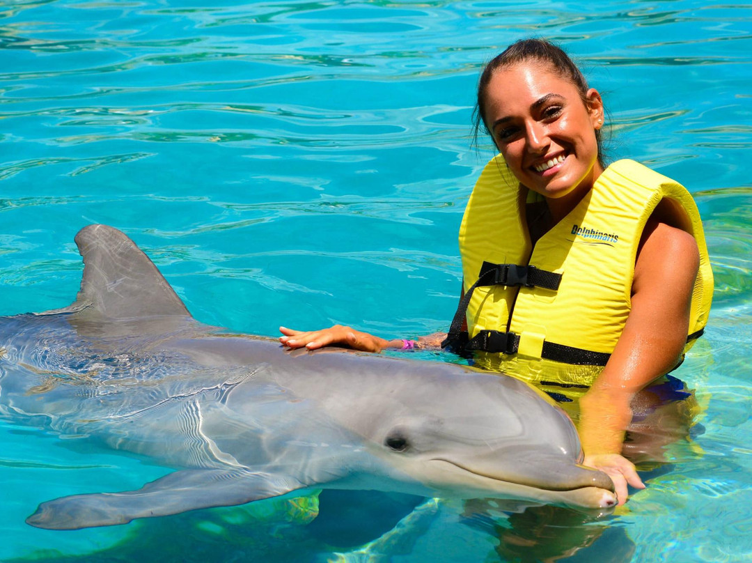 Dolphinaris-考祖梅必去景点