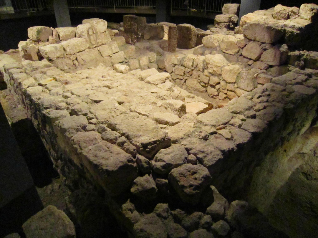 Herodian Quarter/Wohl Archaeological Museum景点图片