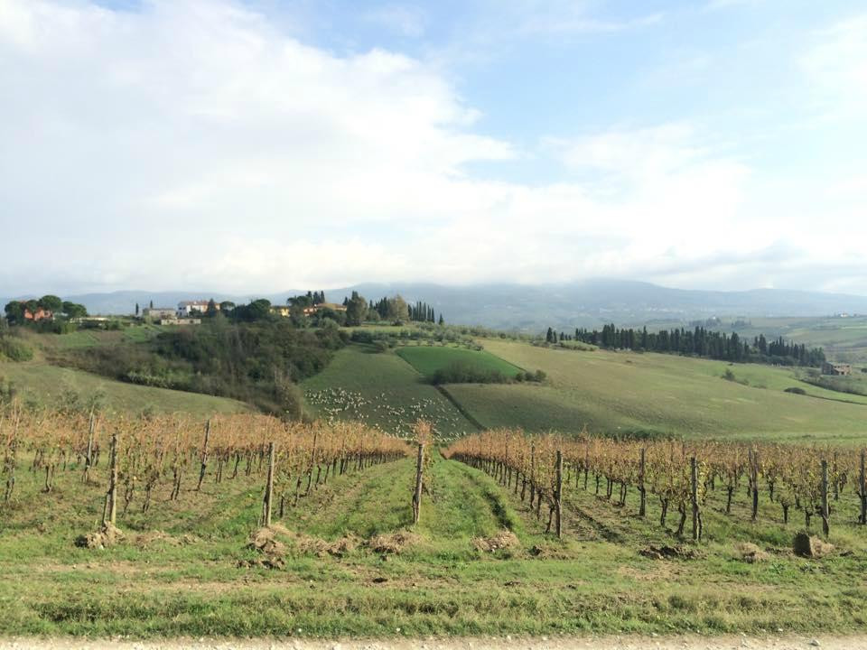 ASD Centro Equestre Bellavista-Cerreto Guidi必去景点