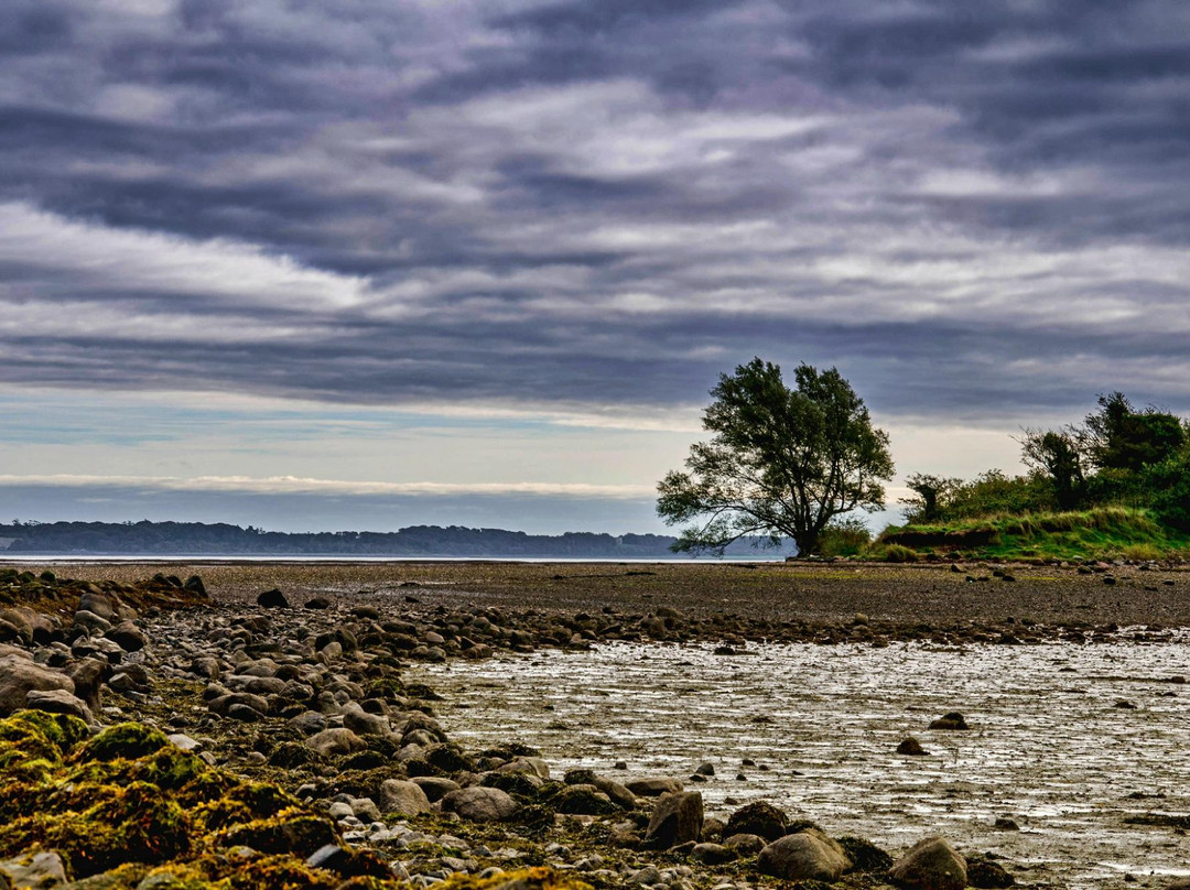 Island Hill & North Strangford Nature Reserve景点图片