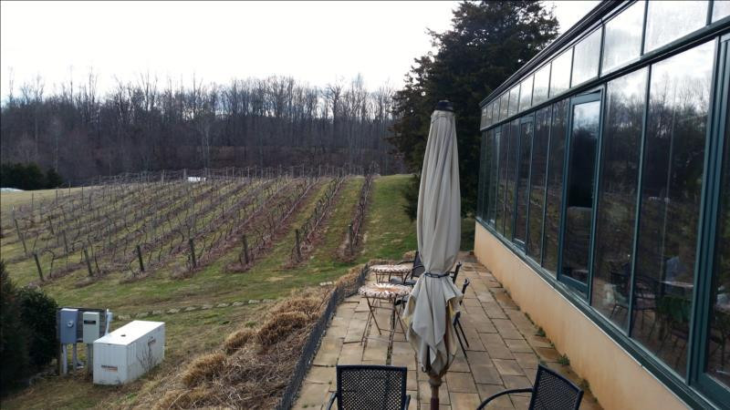 Glass House Winery景点图片