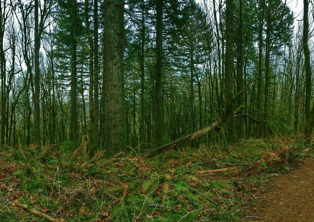 Mount Talbert Nature Park-Clackamas必去景点