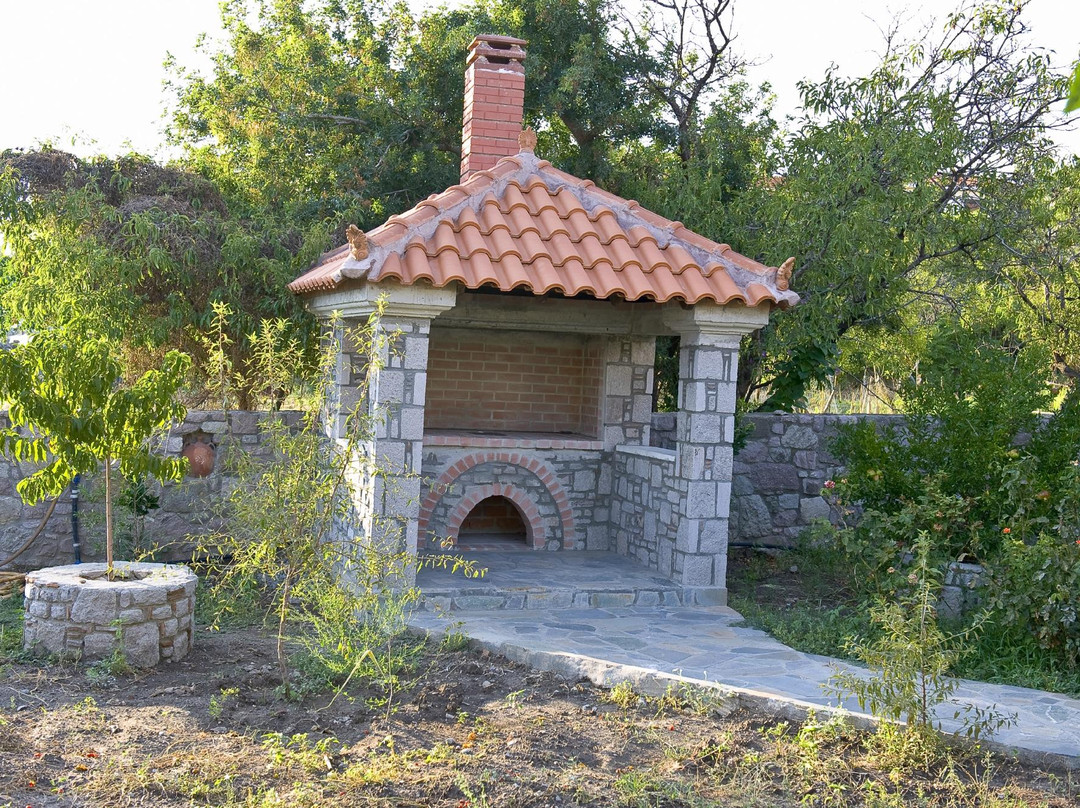 Artemis Traditional Resort主图