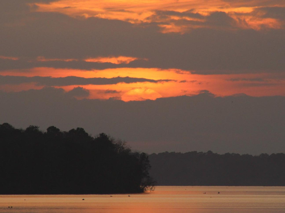 Lake Talquin State Forest-塔拉哈西必去景点
