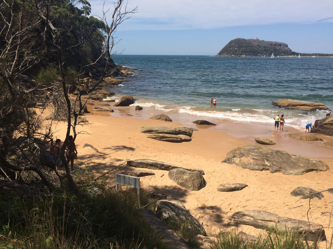 Pittwater Kayak Tours景点图片