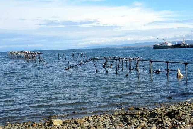 Plaza Armas Punta Arenas-蓬塔阿雷纳斯必去景点