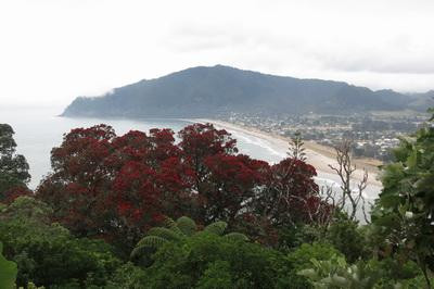Mount Paku-Tairua必去景点