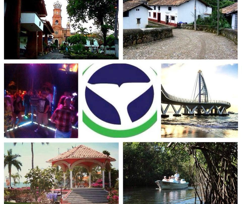 Riviera Tours & Transfers景点图片