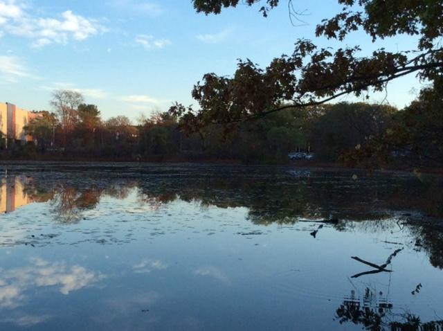 Hammond Pond Reservation景点图片