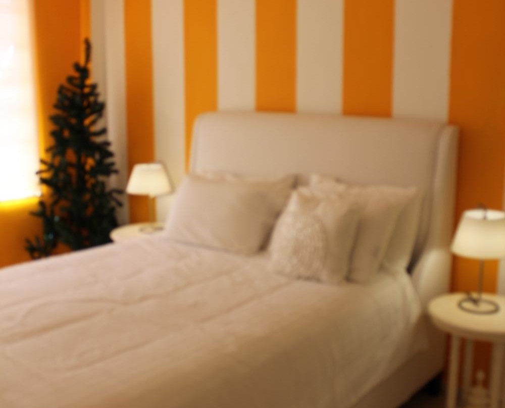 Fonda & Posada El Navideno主图