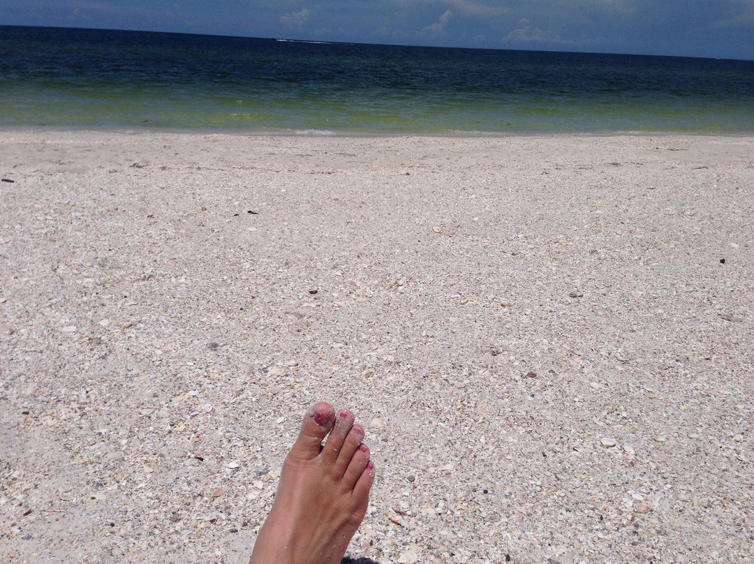 Barefoot Beach Preserve County Park景点图片