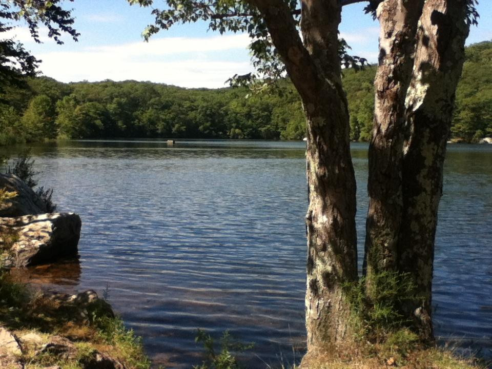 Fahnestock State Park景点图片