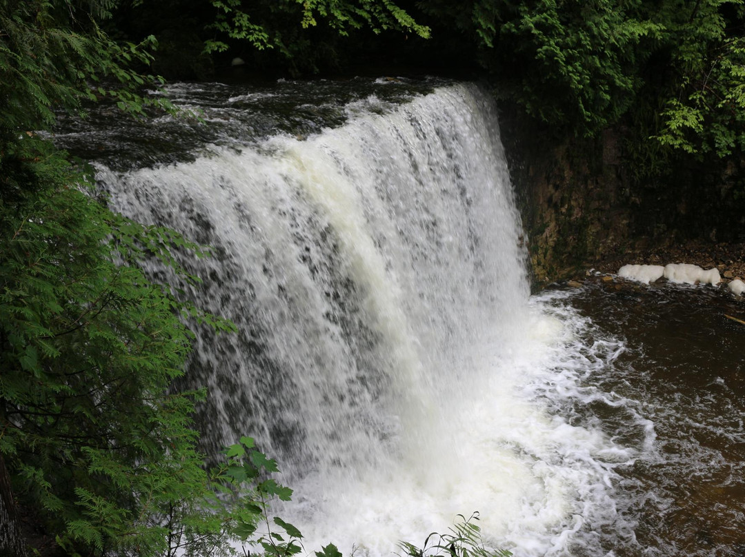 Hoggs Falls景点图片