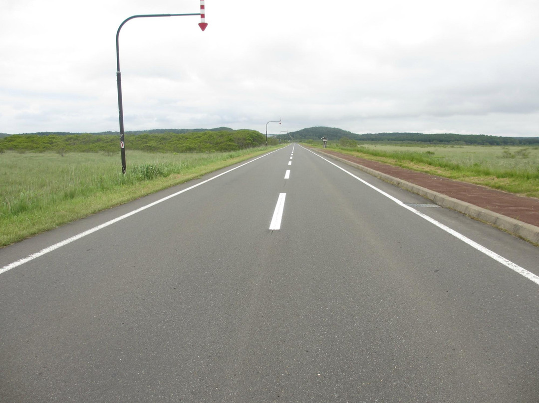 甘地路-滨中町必去景点