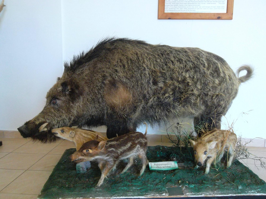 The Museum of Natural History-Pomos必去景点