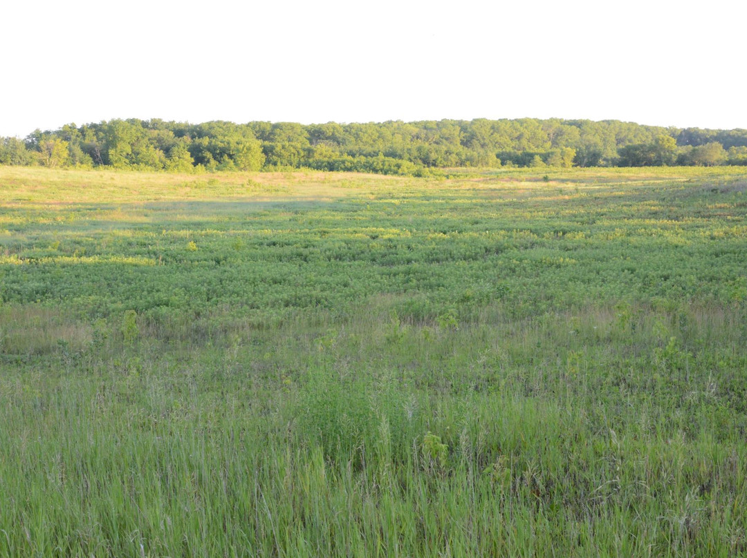 Cowling Arboretum at Carleton College-诺斯菲尔德必去景点