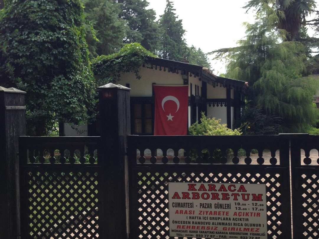 Karaca Ağaç Parkı-Yalova必去景点