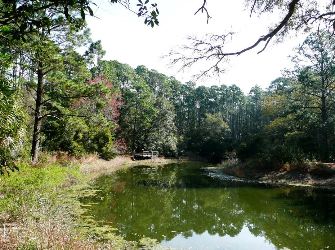 Audubon Newhall Preserve景点图片