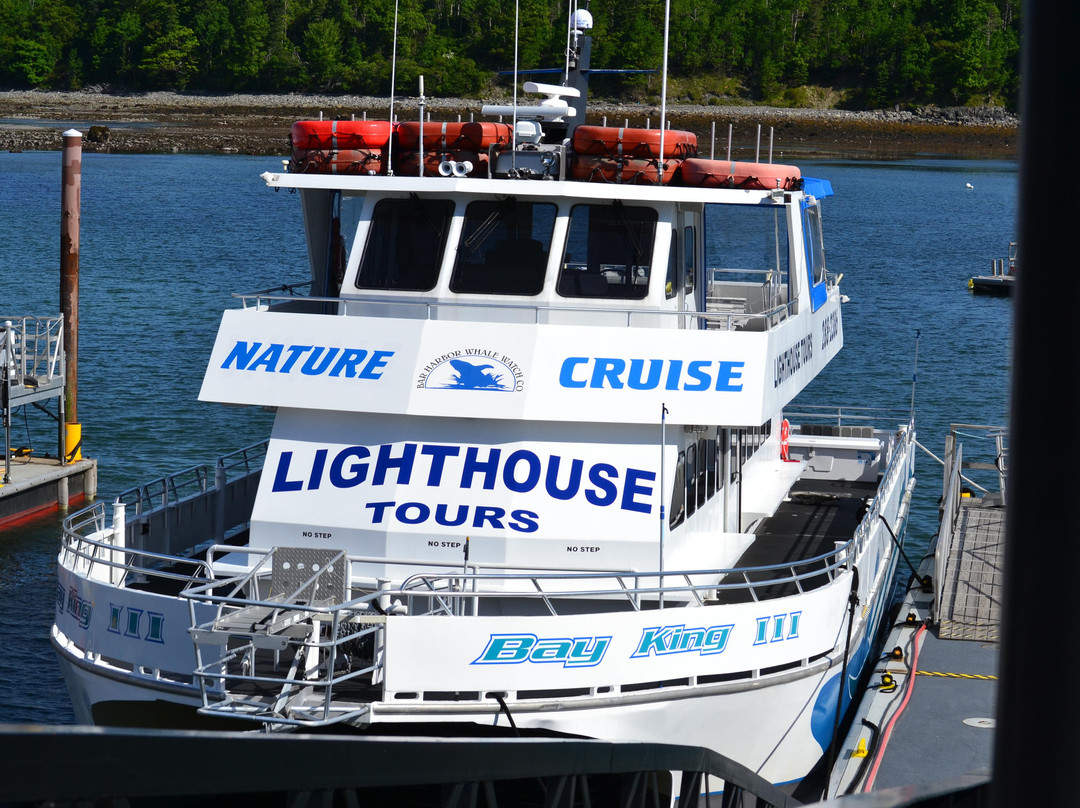Bar Harbor Whale Watch Co.-巴港必去景点