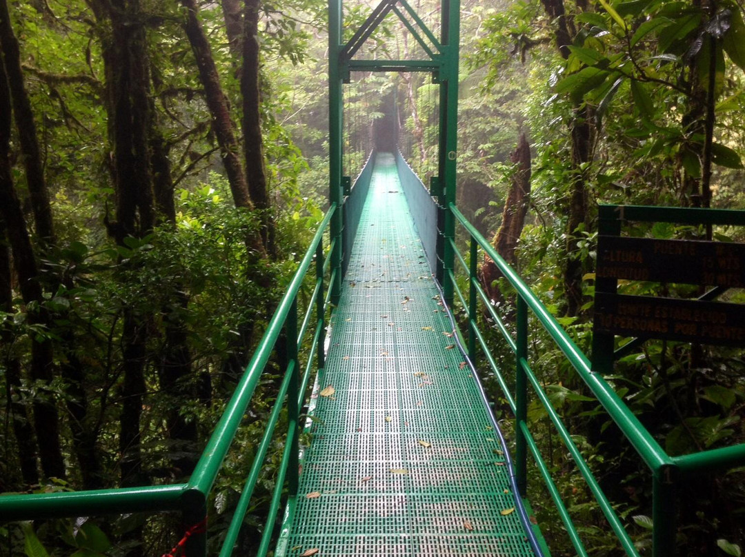 Santa Elena Skywalk景点图片