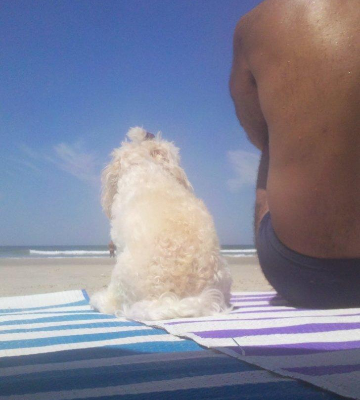 Praia de Boraceia-Bertioga必去景点