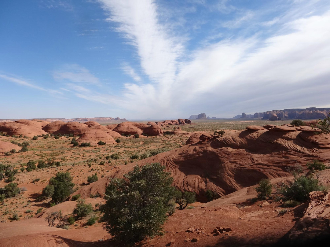 Monument Valley Day Tours景点图片