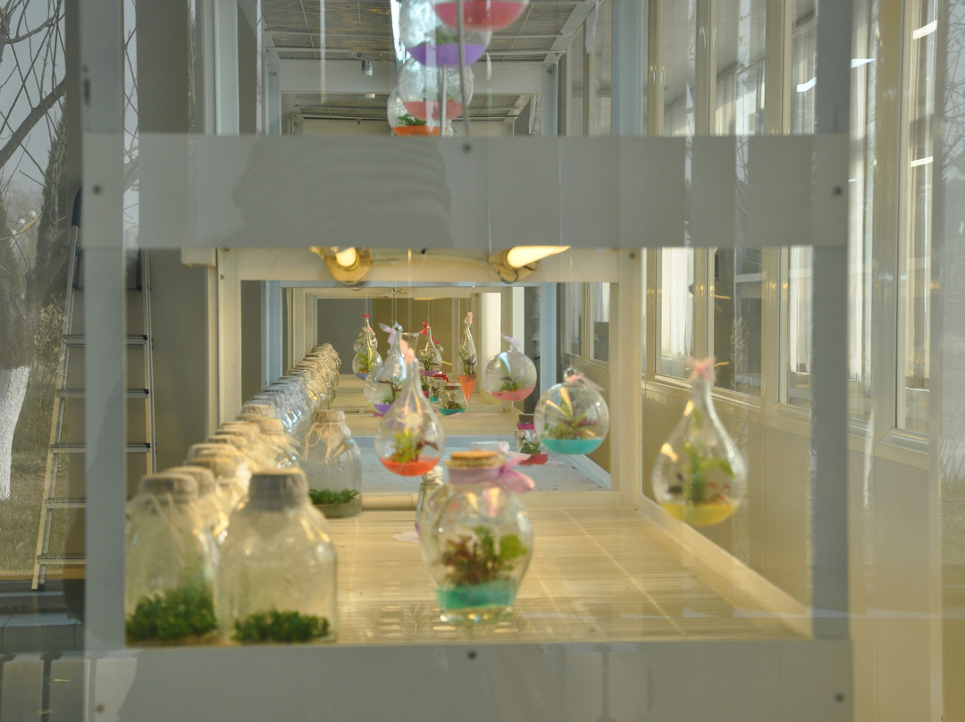 北京世界花卉大观园-北京市必去景点