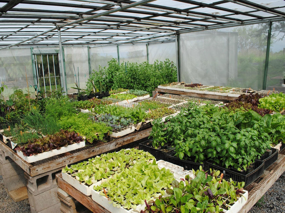 Kupa'a Farms-库拉必去景点