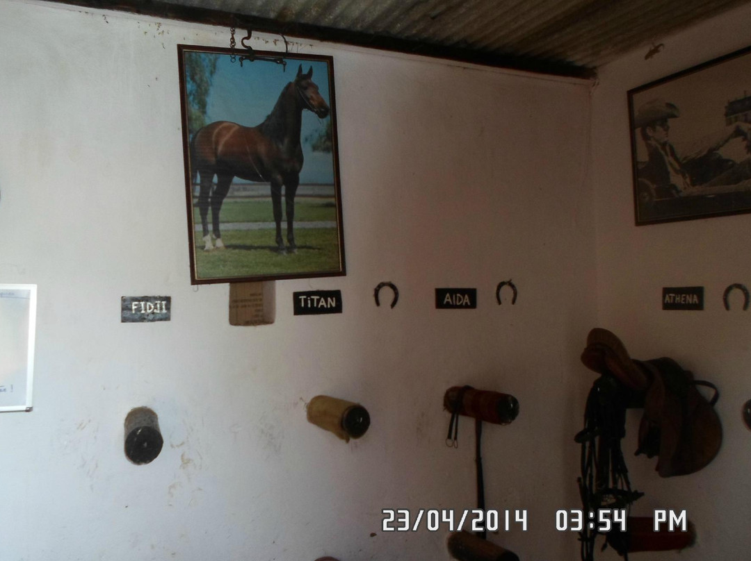 Club Hippique le Barry-卡萨布兰卡必去景点