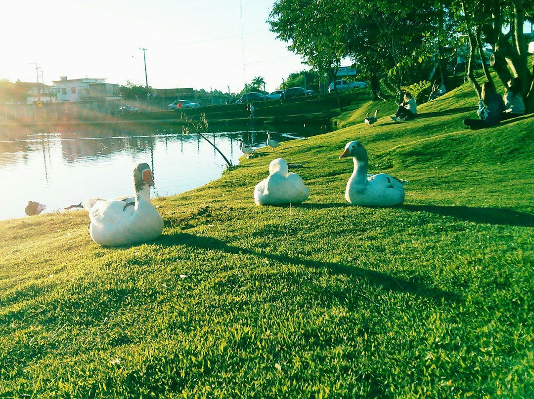 Parque Botanico Eloy Chaves-容迪亚伊必去景点