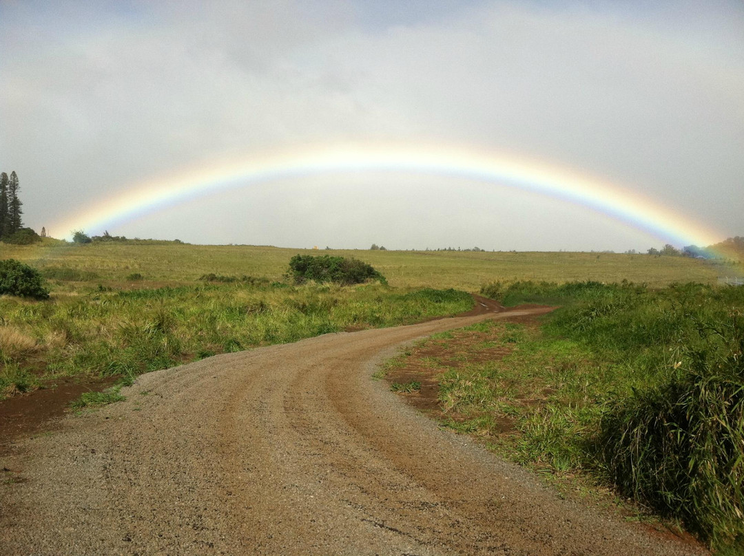 Maui's Private Guide-基黑必去景点