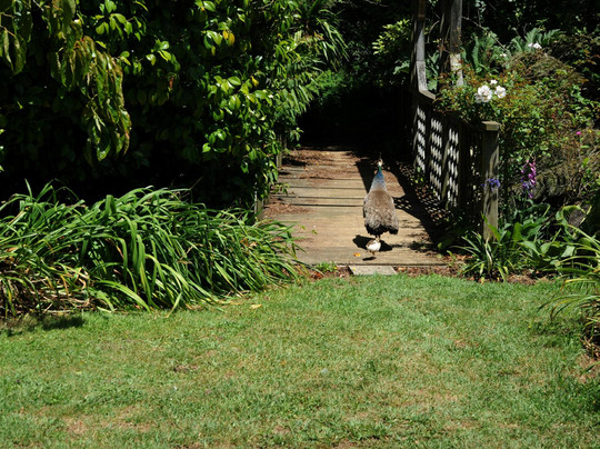 Allendale Gardens-Edith Creek必去景点