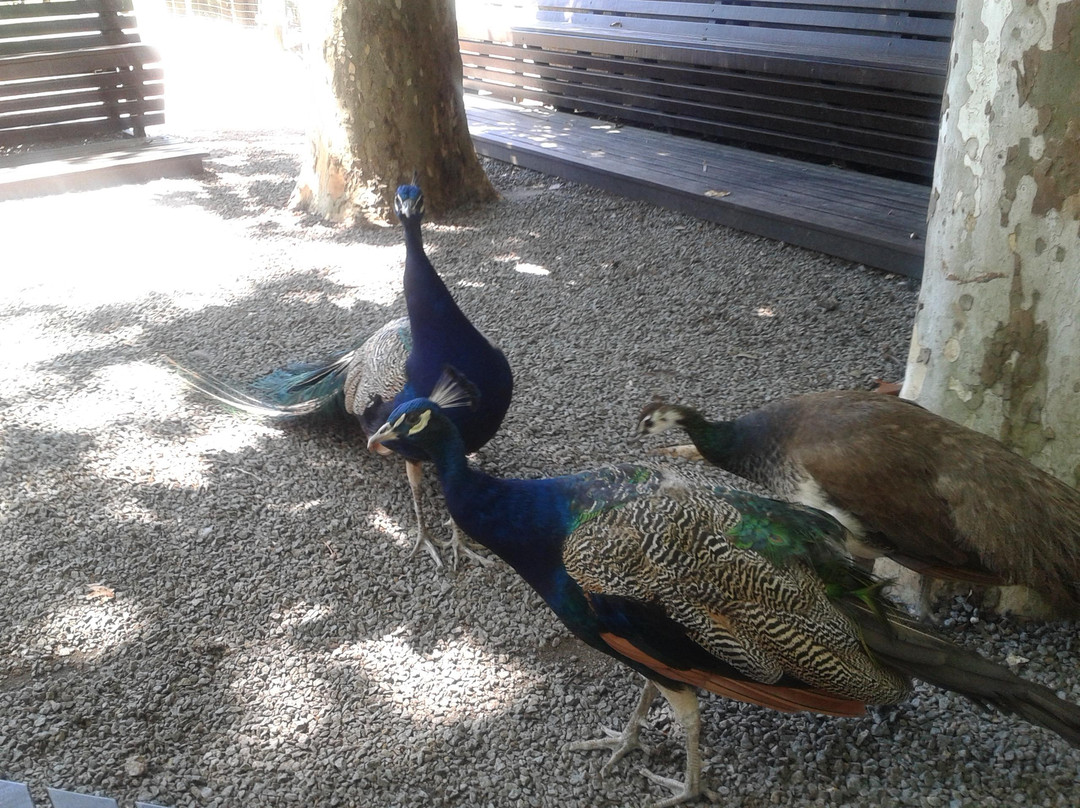 Parque natural de flora y fauna Dr. Talice景点图片