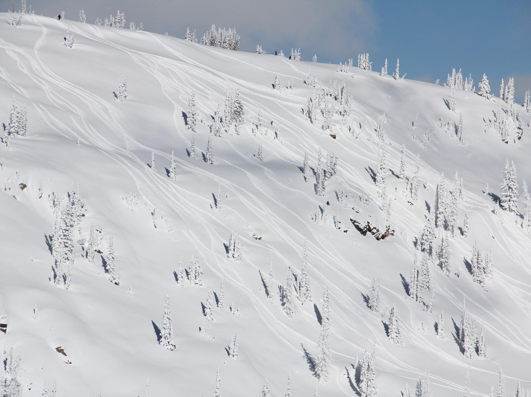 Steamboat Powdercats-斯廷博特斯普林斯必去景点