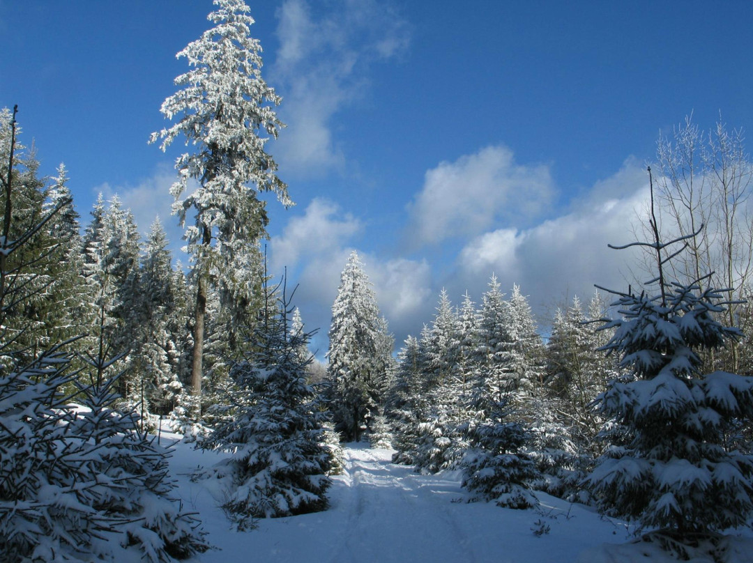 Naturpark Hochtaunus-Oberursel (Taunus)必去景点
