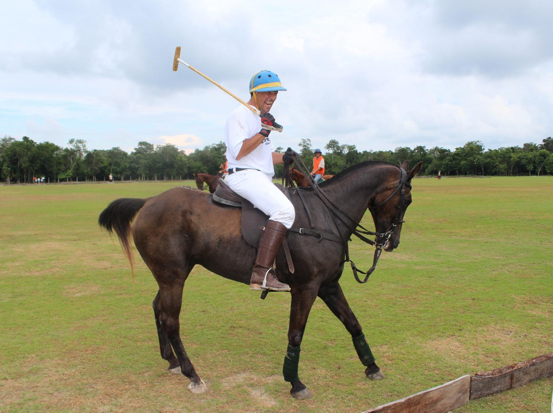 El Rey Polo Country Club-从莫雷洛斯港必去景点