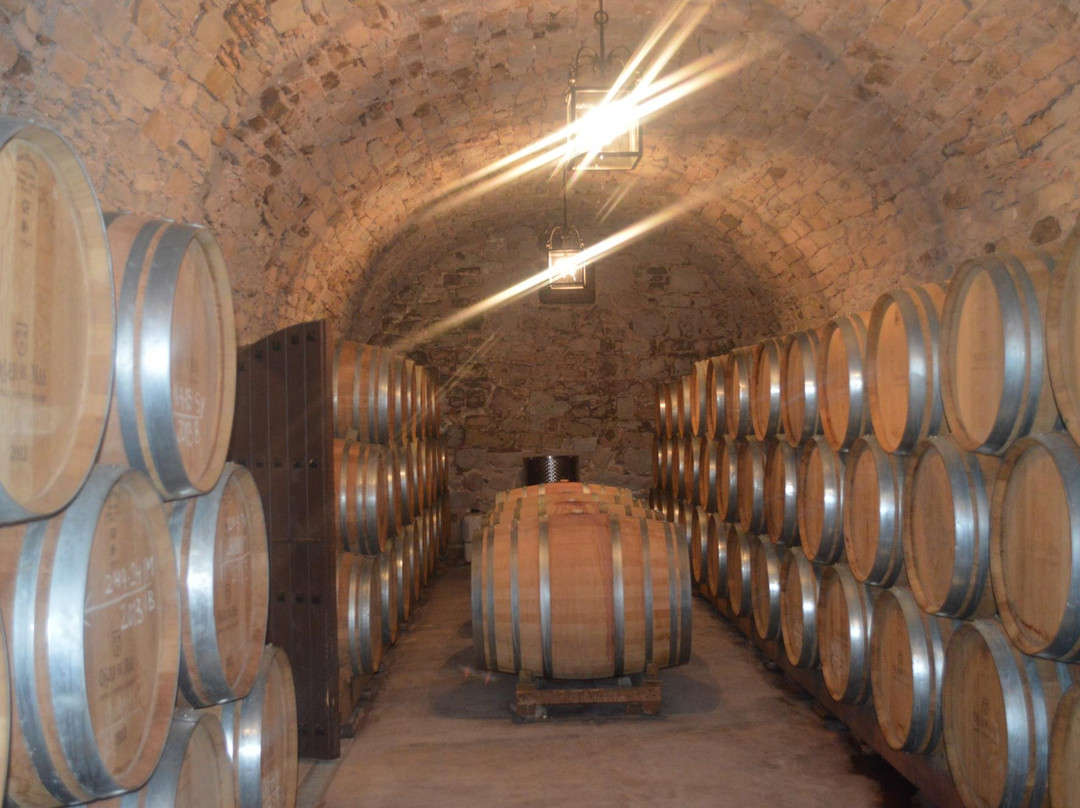 Castlexperience Wine Tours-巴塞罗那必去景点