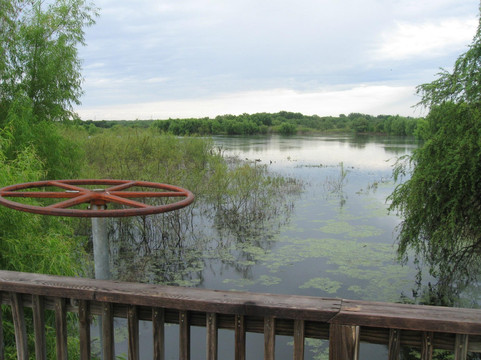 Mitchell Lake Audubon Center-圣安东尼奥市必去景点