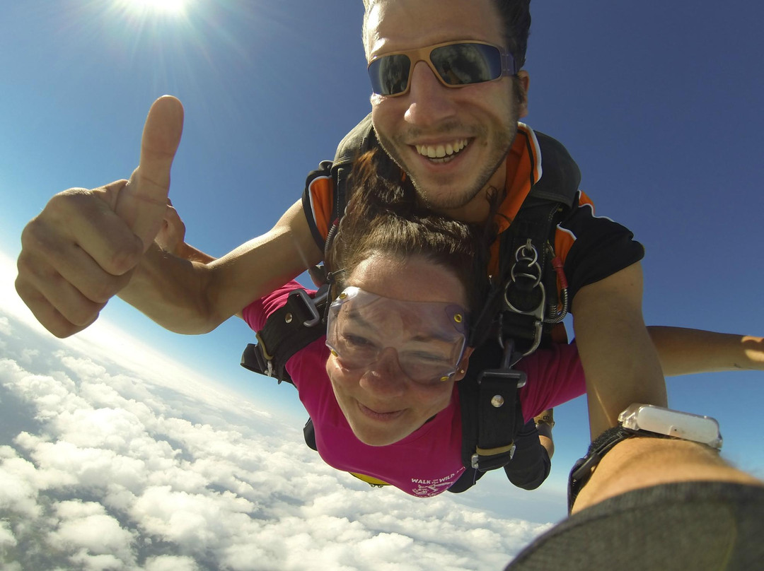Coffs City Skydivers-科夫斯港必去景点