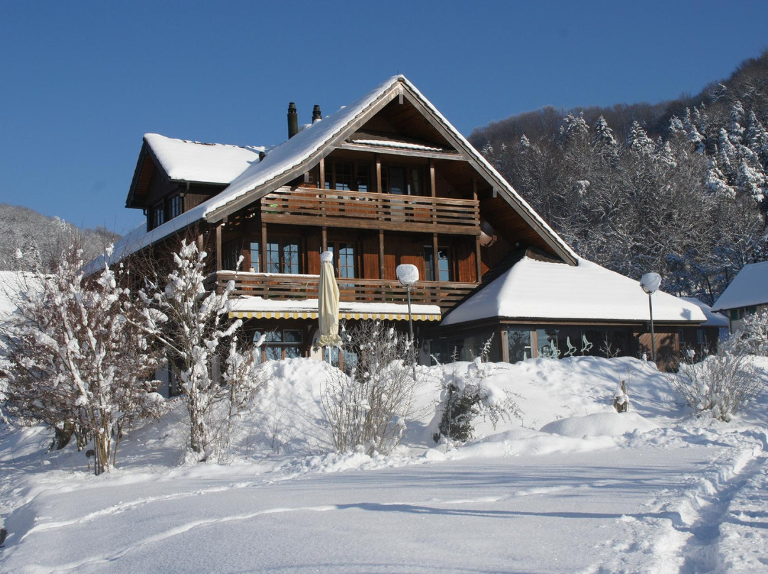 Aeugst am Albis餐馆和美食-Restaurant Erpel am Tuerlersee