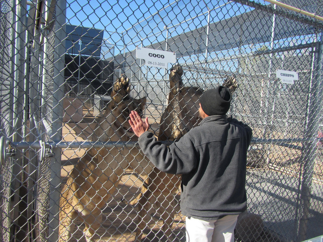 Lion Habitat Ranch-亨德森必去景点