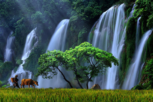 Ban Gioc Waterfall - Detian Falls景点图片