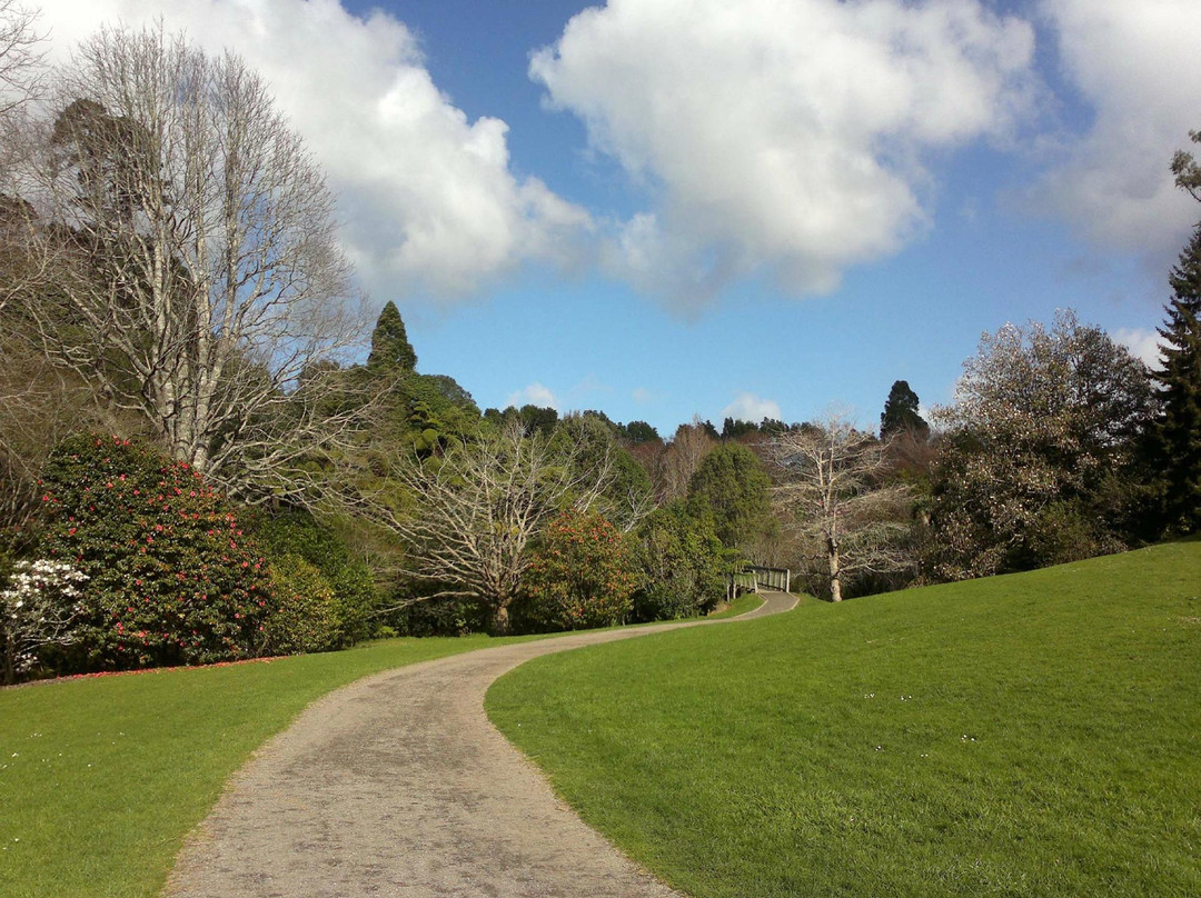 Te Henui Walkway景点图片