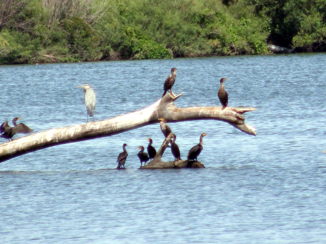 The Woods-Maple Grove必去景点