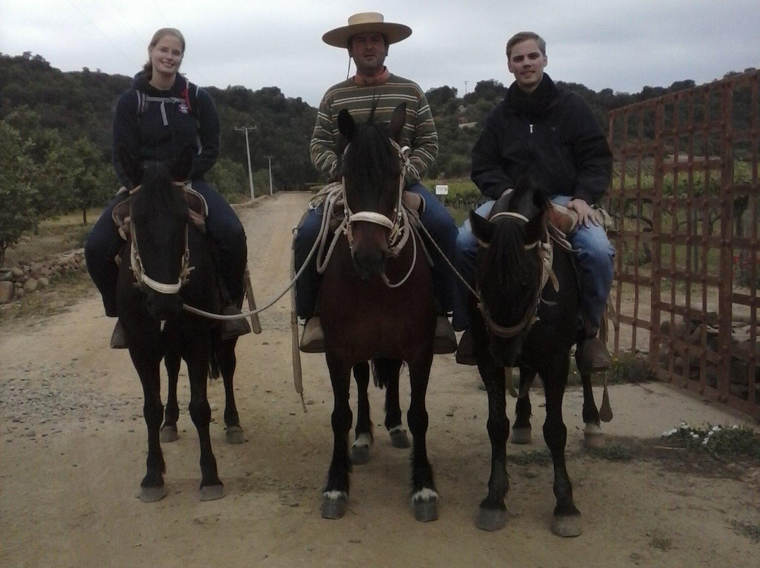 Cabalgatas Valle de Colchagua-圣克鲁斯必去景点