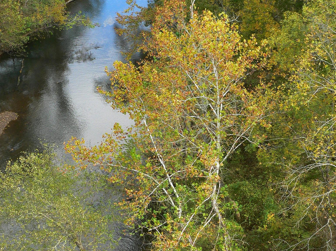 High Bridge Trail State Park景点图片