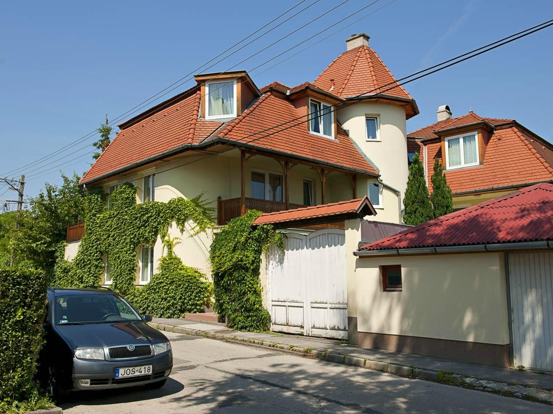 Nagyborzsony旅游攻略图片